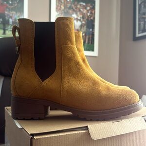 Brand new Cole Haan Chelsea boots